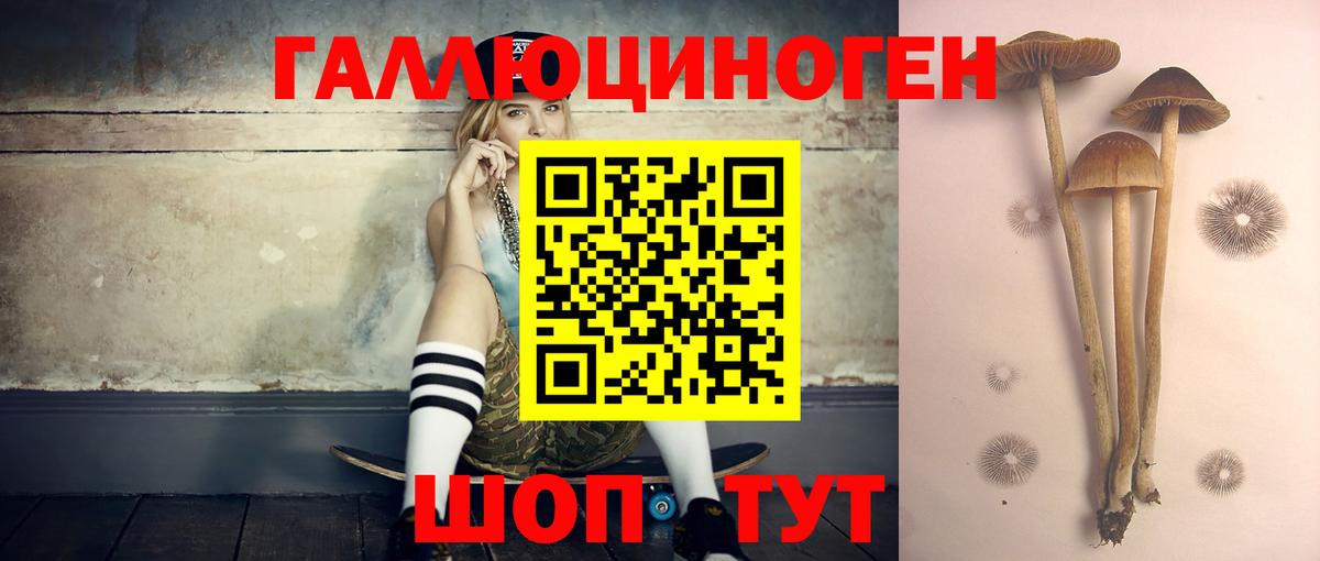 Ржев  Галлюциногенные грибы мицелий  Галлюциногенные грибы GOLDEN TEACHER  Вход с VPN 